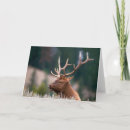 Recherche de yellowstone vœux cartes Taureau