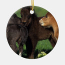 Search for miniature ornaments Horse