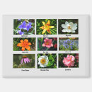 Recherche de mensonge magnets Fleurs