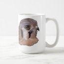 Search for kestrel mugs Hawk