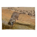 Search for otters pillowcases Animal
