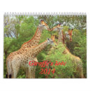 Search for giraffe calendars Nature
