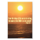 Search for 113 Sunrise