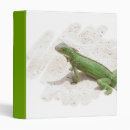Search for lizard binders Iguana