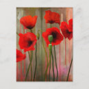 Recherche de papaver posters Poppies