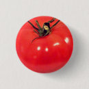 Recherche de tomates badges Sain