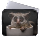 Search for baby monkey electronics Young animal