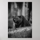 Search for black and white bear posters Modern