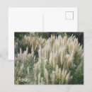 Recherche de le texas photographie Photographie de la nature