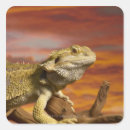 Recherche de sang froid autocollants Faune