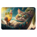 Recherche de chats magnets Tropical
