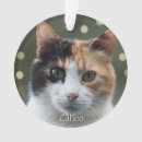 Search for calico cat ornaments Pet