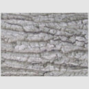 Search for tree bark tissue paper Rustic
