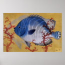 Search for marine life fish posters Ocean