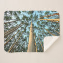 Search for danita delimont blankets Woods