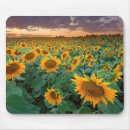 Search for crop mousepads Landscape