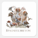 Search for breton stickers Brittany