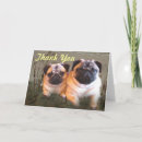 Search for pug thank you cards Puppy