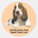 Search for basset hound stickers Puppy