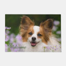 Recherche de papillon dog Mignon