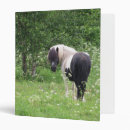Search for ponies binders Pony