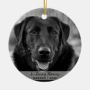 Search for sympathy pet memorial ornaments Loving memory