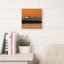 Search for new clocks Elegant
