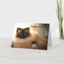 Recherche de kitty cat cards Chaton