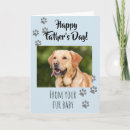 Search for fur baby fathers day cards Cat