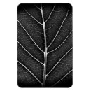Search for vein magnets Leaf