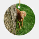 Search for vizsla ornaments Animals