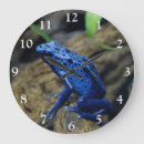 Recherche de grenouilles horloges Aquatique