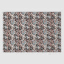 Search for magnolia tissue paper Black