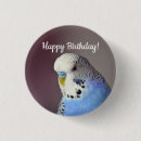 Recherche de perroquet bleu badges Perruche
