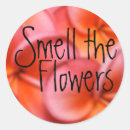 Search for fragrance stickers Hawaii