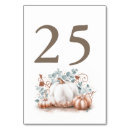 Search for pumpkins table cards Autumn