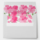 Recherche de pétunia Pétunias rose