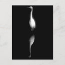 Search for cranes postcards Water