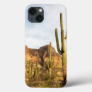 Search for desolate electronics Arizona