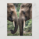 Recherche de affection cartes postales Mignon