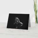 Recherche de profil vœux cartes Chiot