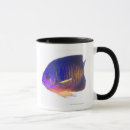 Search for fins home living Blue