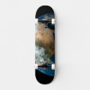 Search for planet earth skateboards Round