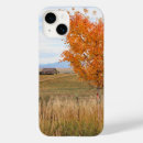 Search for ghost cases Orange