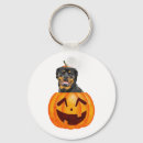 Search for rottweiler keychains Rottie