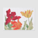 Recherche de tulipes de perroquet Jardin