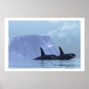 Recherche de orca posters Bleu