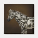 Recherche de savane magnets Zèbre