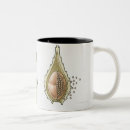 Search for cycle of life mugs Nature