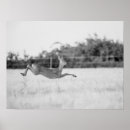 Recherche de monochrome photographie Photographie de la nature